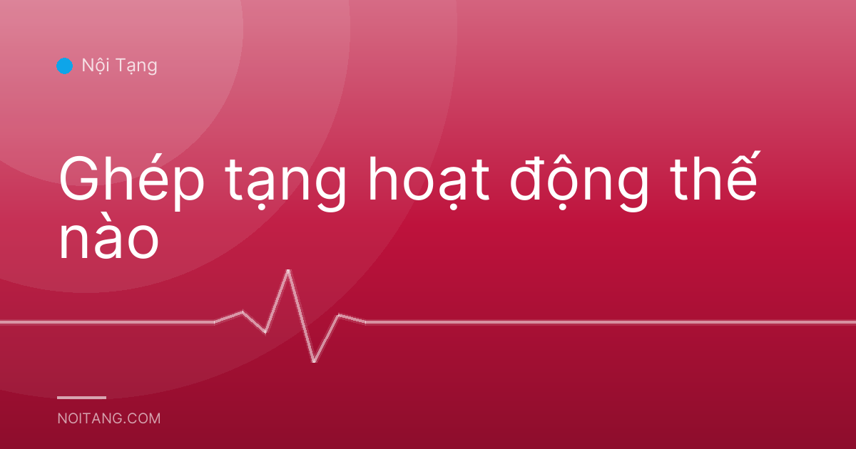Ghép tạng hoạt động thế nào