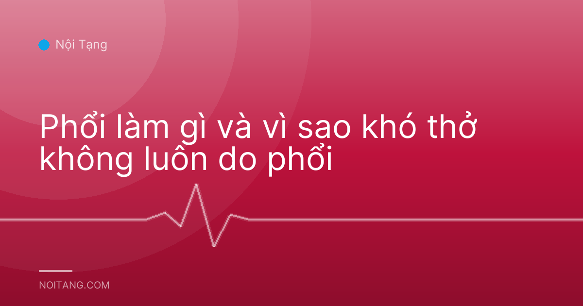 Phổi làm gì và vì sao khó thở không luôn do phổi