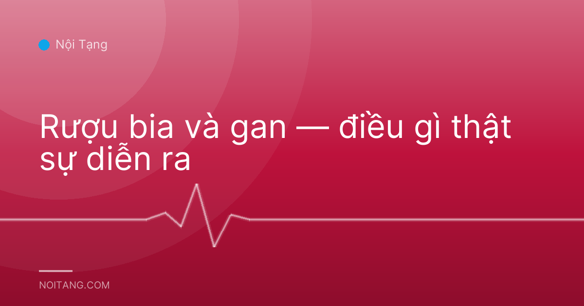 Rượu bia và gan — điều gì thật sự diễn ra