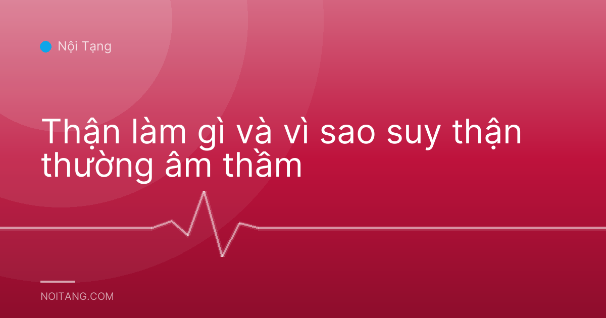 Thận làm gì và vì sao suy thận thường âm thầm