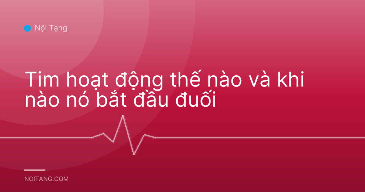 Tim hoạt động thế nào và khi nào nó bắt đầu đuối